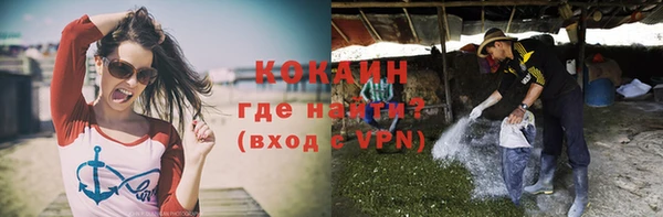крисы Дмитриев