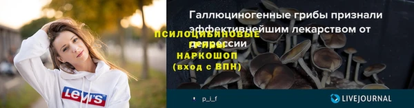 прущая мука Елабуга