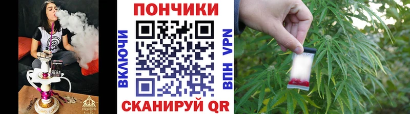 Шишки марихуана гибрид  Купить  Наволоки 